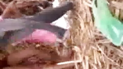 कुतिया एक क्लिक के साथ अगले सेक्सी मूवी हिंदी में सेक्सी मूवी ग्राहक को संतुष्ट करती है