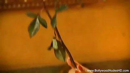 वुडमैन क्विट ओर्जी हेस्सी हिंदी फिल्म सेक्सी एचडी में और लोला