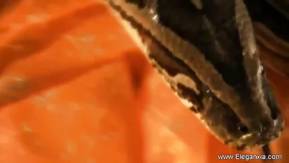 सुडौल हिंदी में फुल सेक्सी मूवी शरीर वाली लिली मेडिसन लड़की ने खुद को संतुष्ट किया